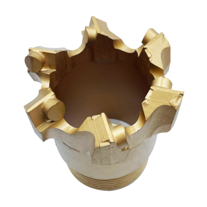 بت الأساسية PDC